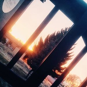 Meet your Posher, Yulissa